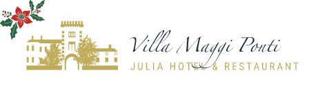 Logo Natale hotel julia villa maggi ponti cassano